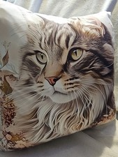 Beautiful Maine Coon Cat