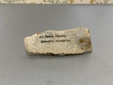 Neolithic Flint Hand Tool, Ex