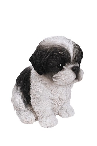 Vivid arts pet - arts,
