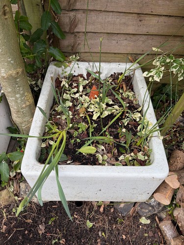 Belfast sink basin garden - sink,