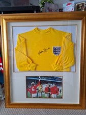 Gordon banks yellow - banks, replica