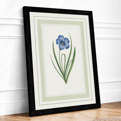 Blue flower study botanical - blue,