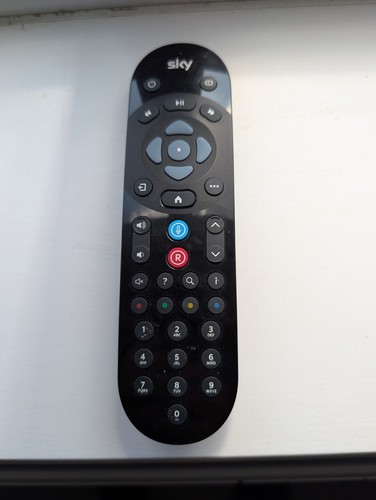 100 genuine sky remote - genuine,