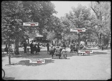 Antique Glass Plate Photo