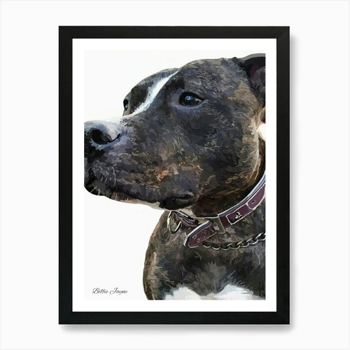 Staffy portrait art - art, print