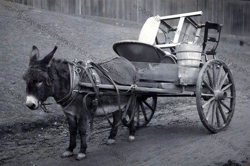 Tf502 donkey cart - tf502,