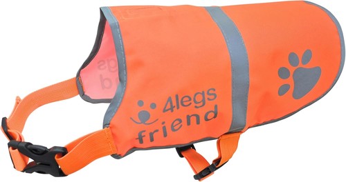 Orange dog safety - dog,