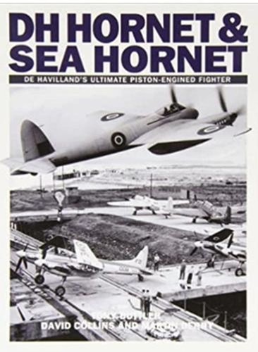 Hornet and sea - dh,