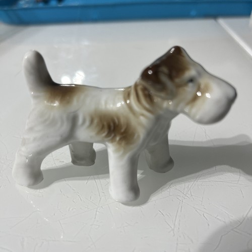Vintage wire haired fox - haired,