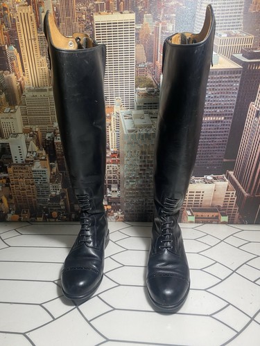 Ariat tall riding boots calf - ariat,