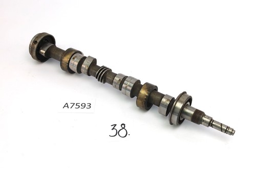 Benelli tornado 650 - benelli,