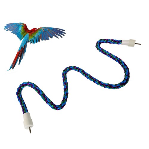 Funny parrot cotton rope - rope, bird