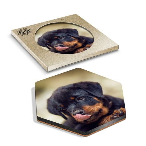 Hexagon coaster cute - 1,