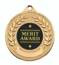 Merit Award Medal with Ribbon