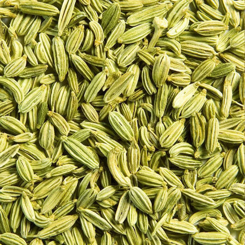 Fennel seeds green unroasted