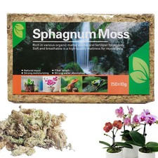 High quality natural sphagnum - high,