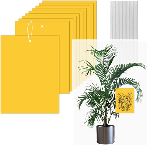 Yellow sticky fly trap - sticky,