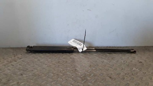 Tailgate gas strut for - strut,