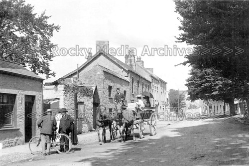 Nqq coach horses - coach,