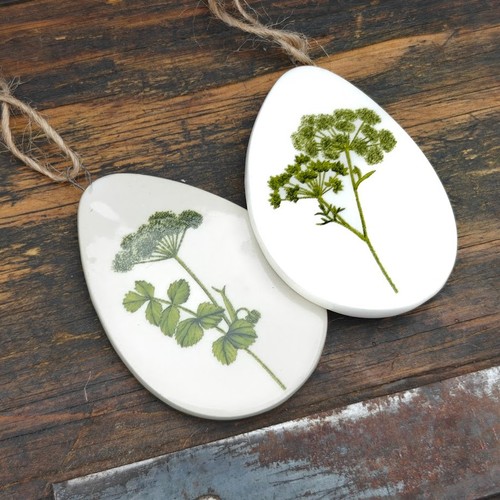 Set cow parsley hedgerow - of, 2