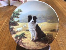 BORDER COLLIE DOG PLATE -