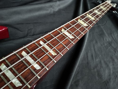 Gibson standard bass - bass, 2009