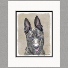 Dutch Shepherd Dog Original