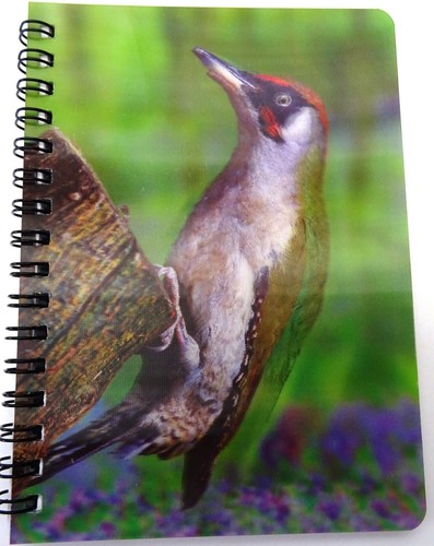 Green woodpecker image on - green, 3d