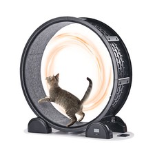 Cat Exercise Wheel with