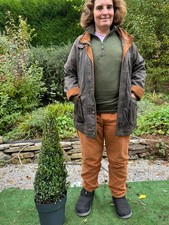 1x BuxusTopiary Plant Cone/Pyramid Box Evergreen 80cm. inc. pot.