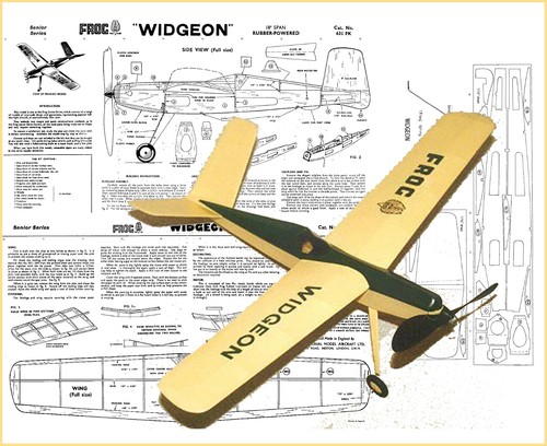 Frog model airplane - frog, plans