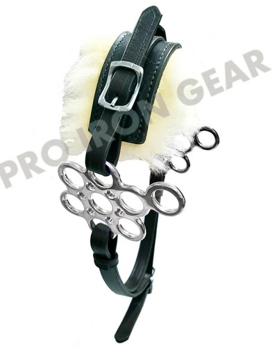 Flower hackamore bitless horse - flower,
