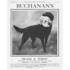 BUCHANAN'S Black White Whisky