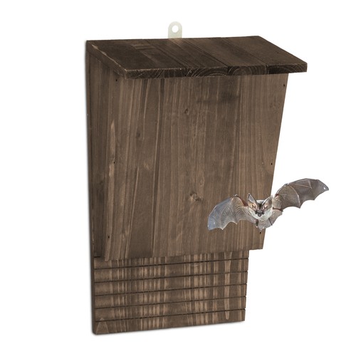 Bat box wooden wildlife - bat, hotel