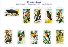 Brooke Bond, April  1957, 'Bird Portraits. 'Photoshop' reproduced. See notes