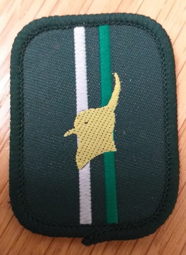 Scout peewit patrol badge - scout,