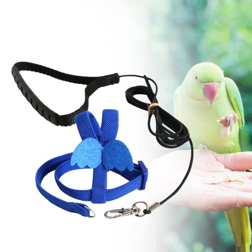 Bird harness and - bird,