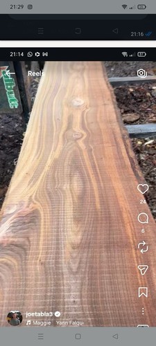 Stunning english elm boards - stunning,