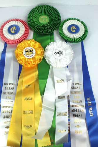 Lot horse show - horse, ribbons