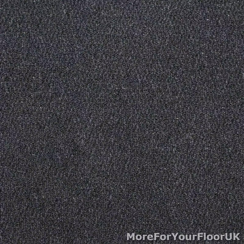 Grey loop carpet lounge - loop,