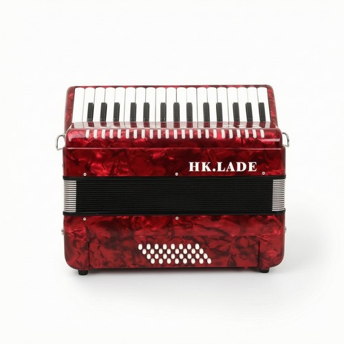 Piano accordion key - piano,