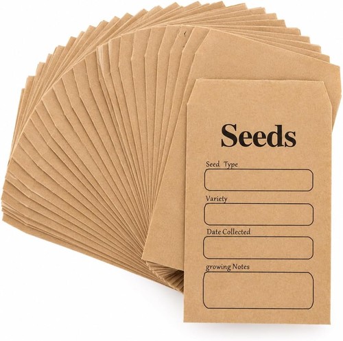 Small brown seed envelopes - small,