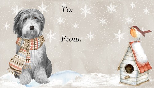 Bearded collie dog christmas - bearded,