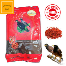 SmartHeart Mynah Enhanced