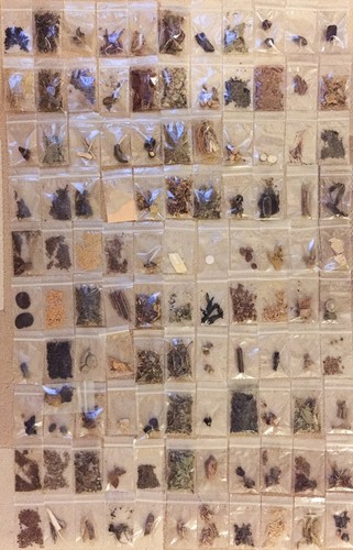 Rare magick herbs - set, named