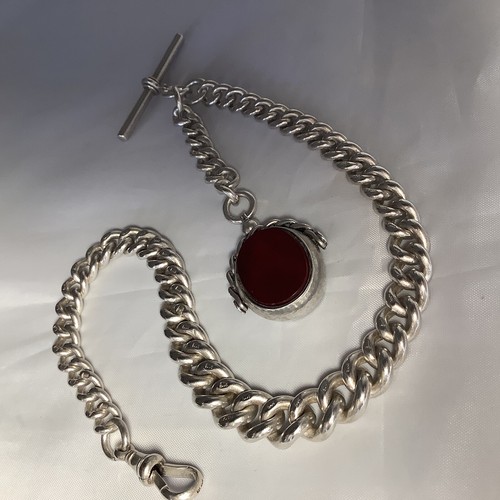 Albert chain silver - chain, hm