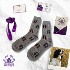 SPRINGER SPANIEL DOG PRINT