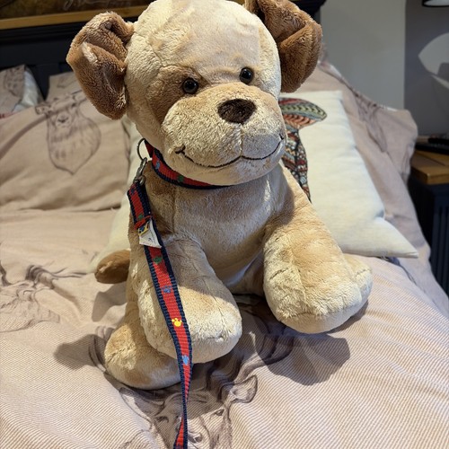 Build bear plush dog - a, teddy