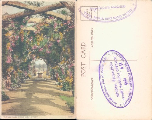 The rose walk sandringham - rose,