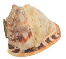 Antique Carved Conch Cameo